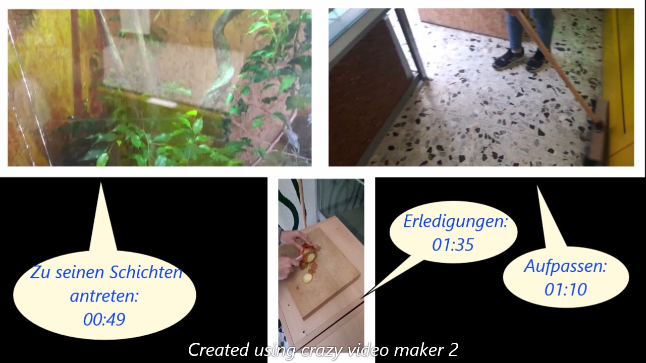 Vivarium AG Teil 2