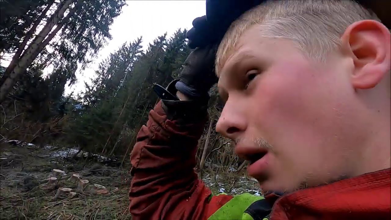 FarmForstVlog#18 Seilbahn
