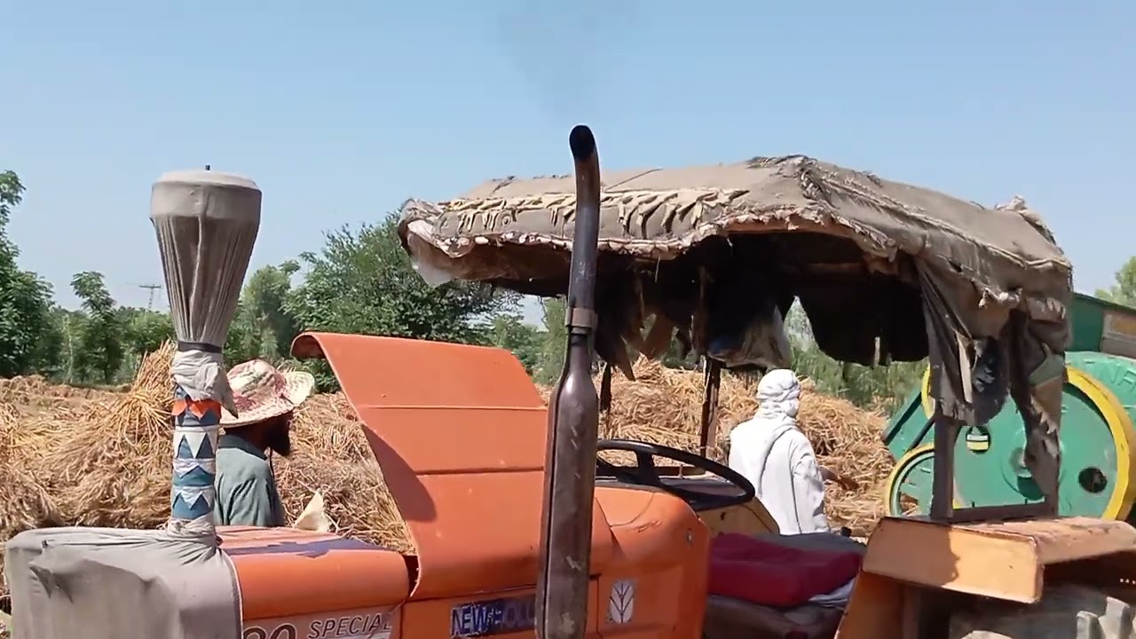 wheat thresher 2023 charsadda kpk #village #viral #nature #2023 #tractor #wheat #fiat #agriculture