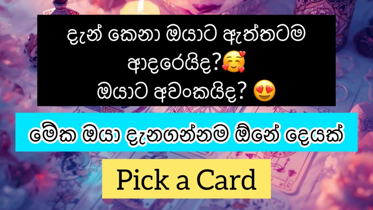❤️දැන් කෙනා ඔයාට ඇත්තටම ආදරෙයිද? ඔයාට අවංකයිද? මේක ඔයා දැනගන්නම ඕනේ දෙයක්.🦋#pickacardreading #tarot 