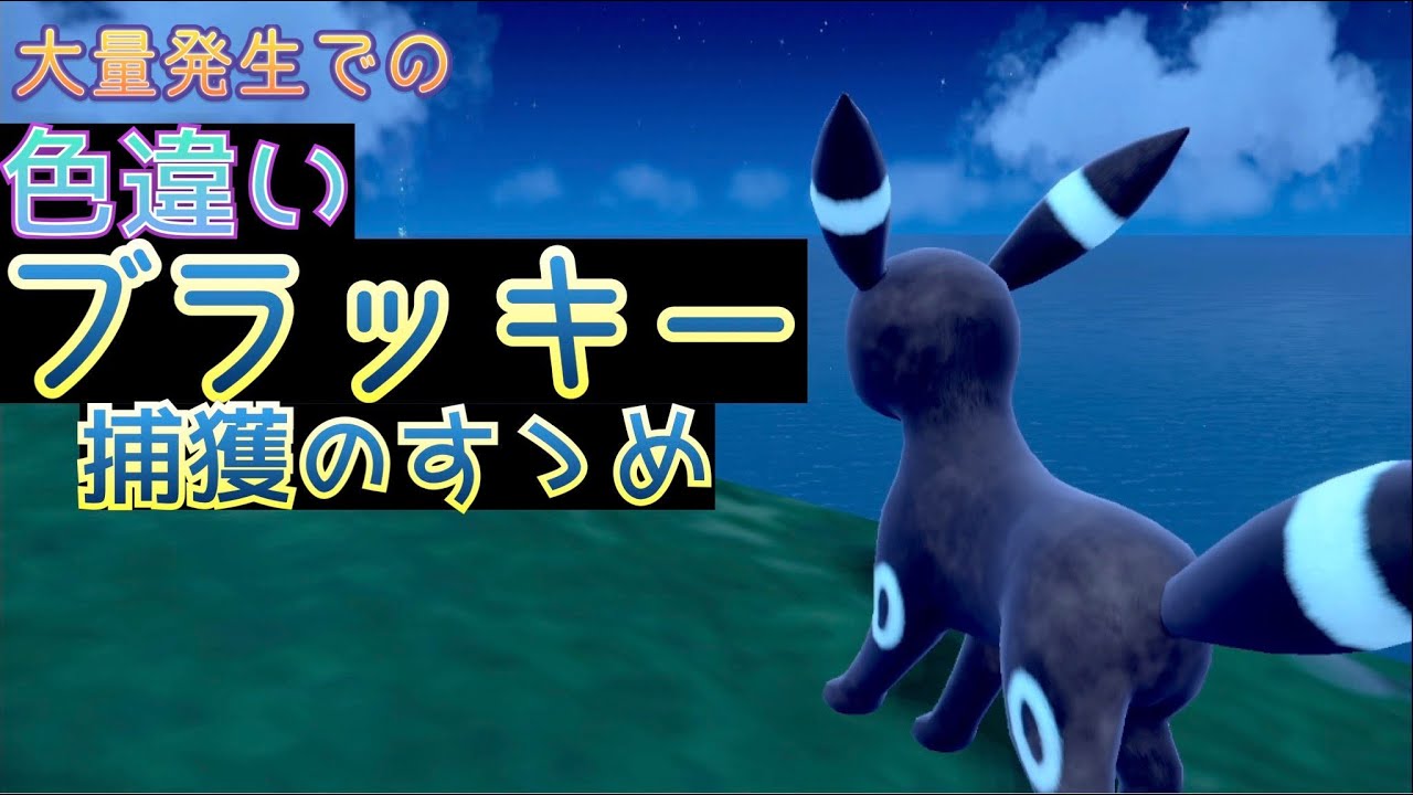 【ポケモンSV】大量発生でブラッキーの色違いを捕まえる！
