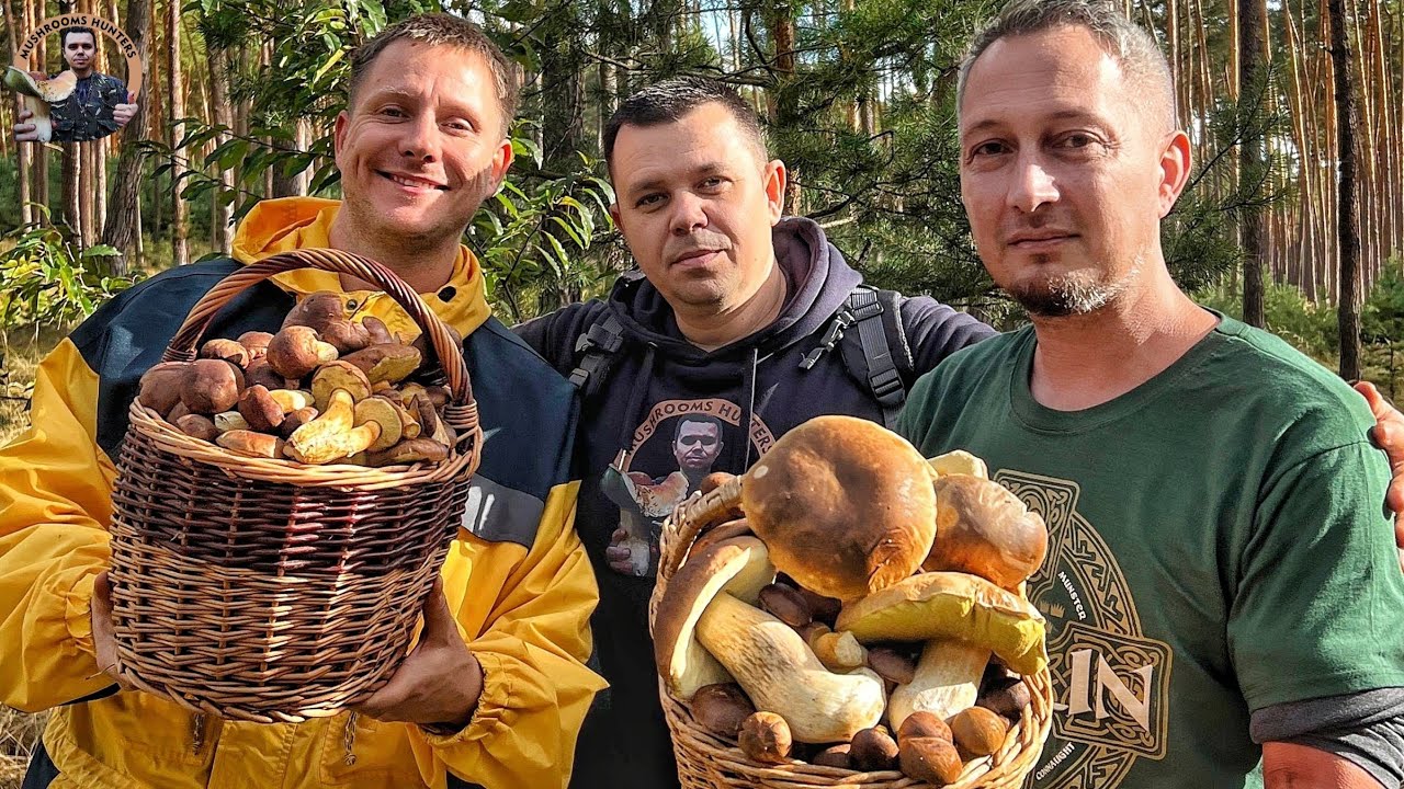 Hriby Huby Houby 10/2025 | Adolf Snehuliak na hríboch | hubárčenie na Morave nahuby jesenná hubačka
