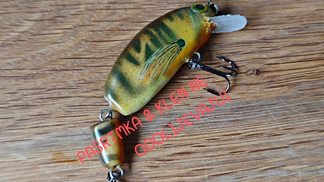 Fenomenalan Rad Voblera 🎣 Ručno Farbani Killer za Pastrmku, Klena! This Lure DRIVES Trout&Chub Crazy