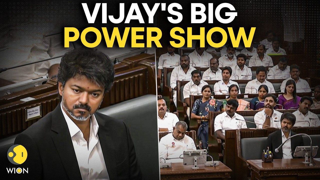 Vijay's TVK Power Show | TVK Crosses Majority Mark With Ally Support | WION ORIGINALS