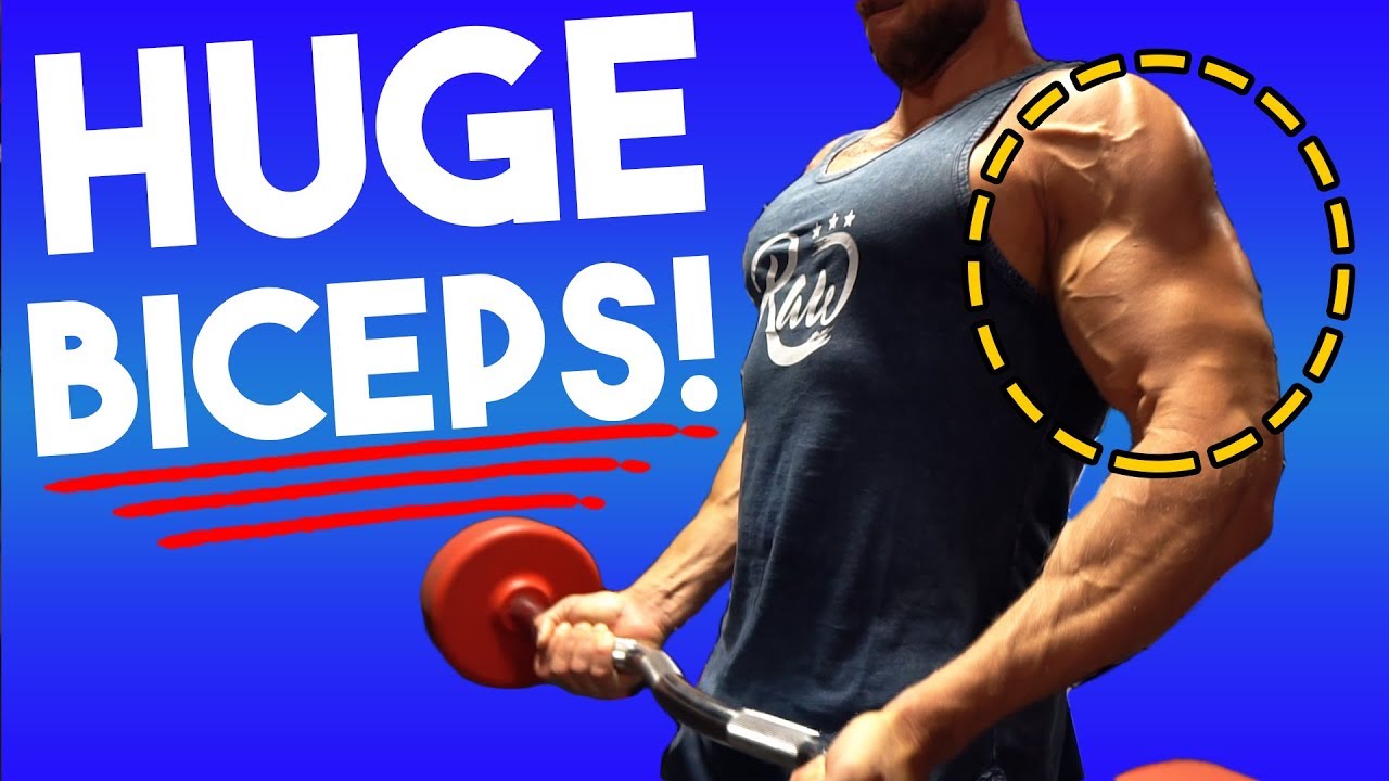 Best Bicep Workout For Huge Arms (HIGH VOLUME!)