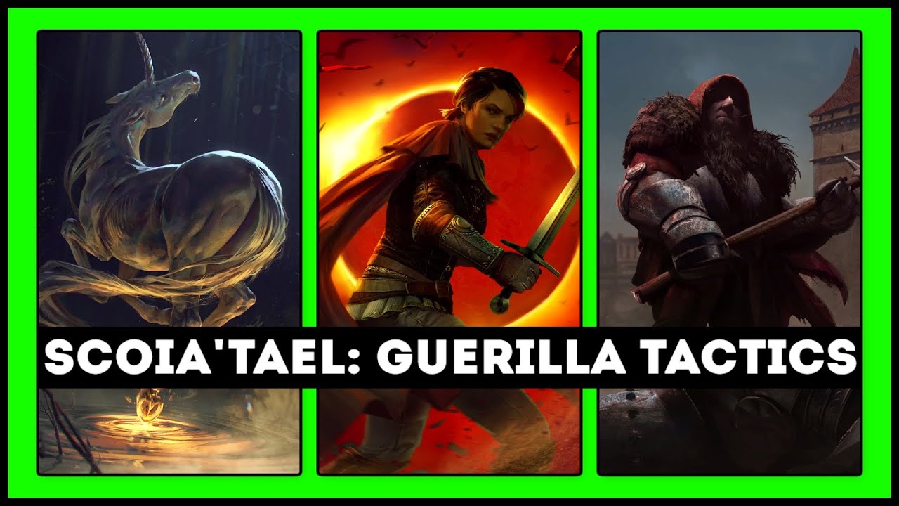 Gwent: This Time We Have A Backup Plan! | Deck & Strategy Explained