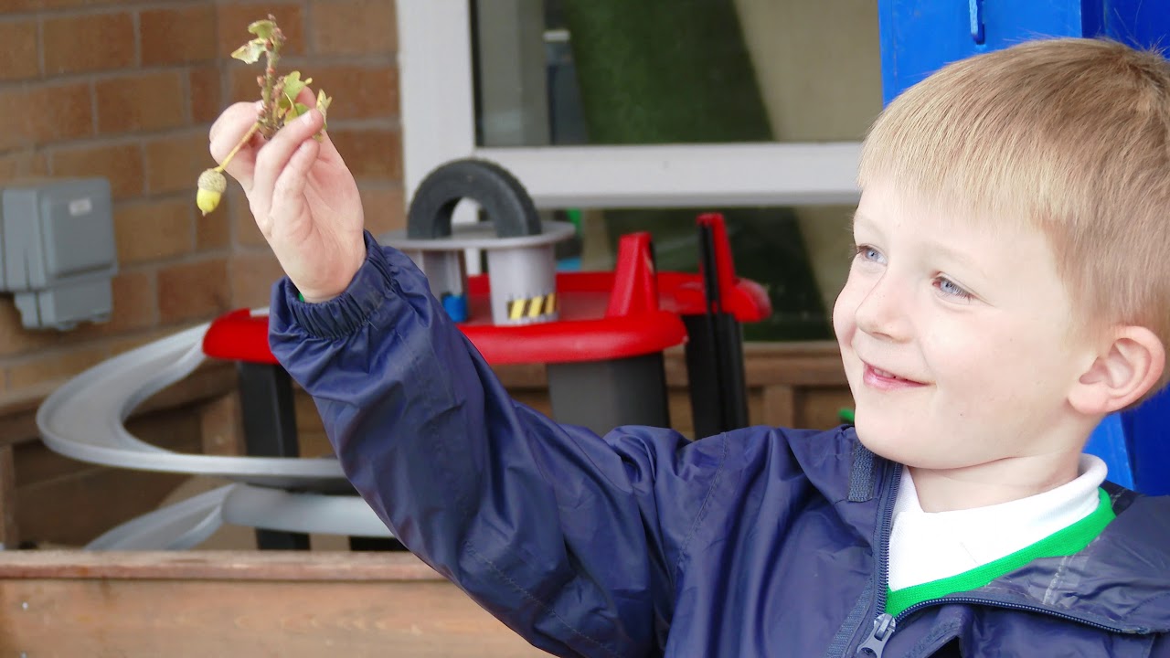 Euxton Primrose Video Prospectus