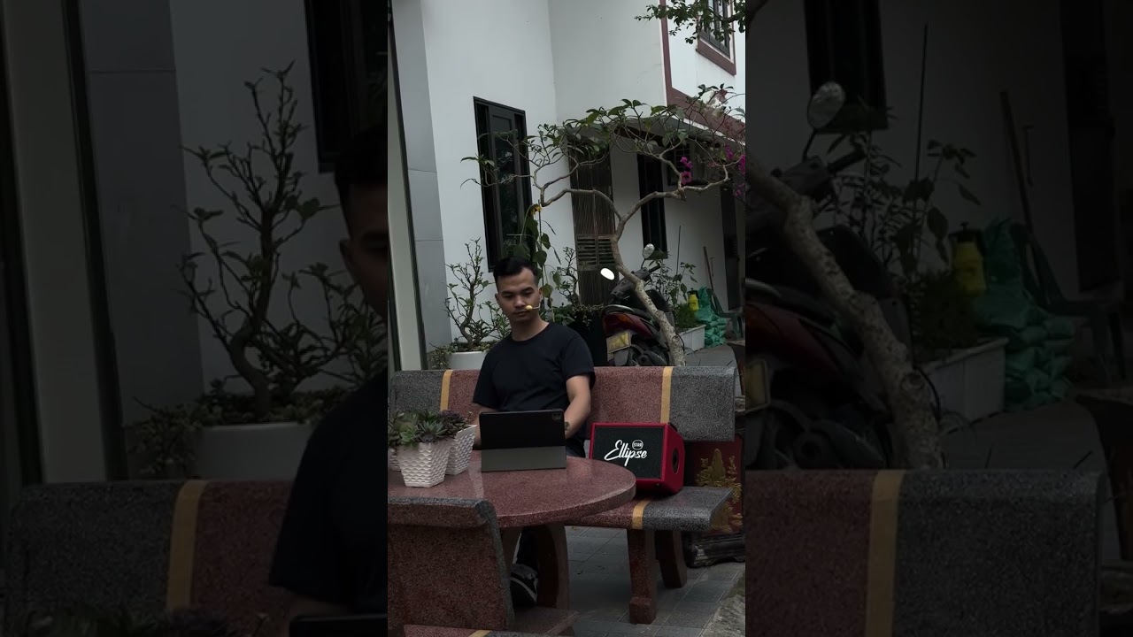 Loạn Hồng | Dizi Hồng Hoa