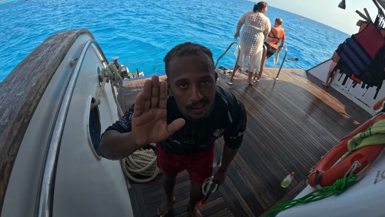 Pływanie z delfinami, Sataya - Dolphin house, Egypt