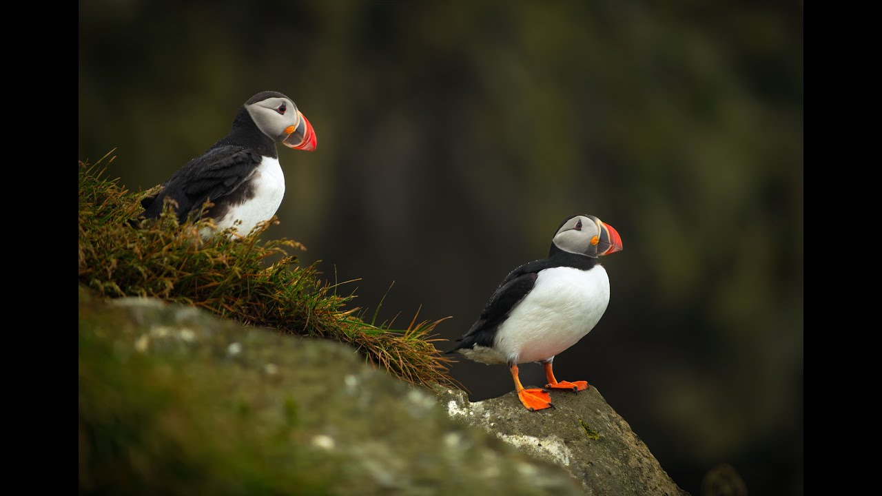 Island - ráj milovníků přírody - západ, jih a východ (Iceland)