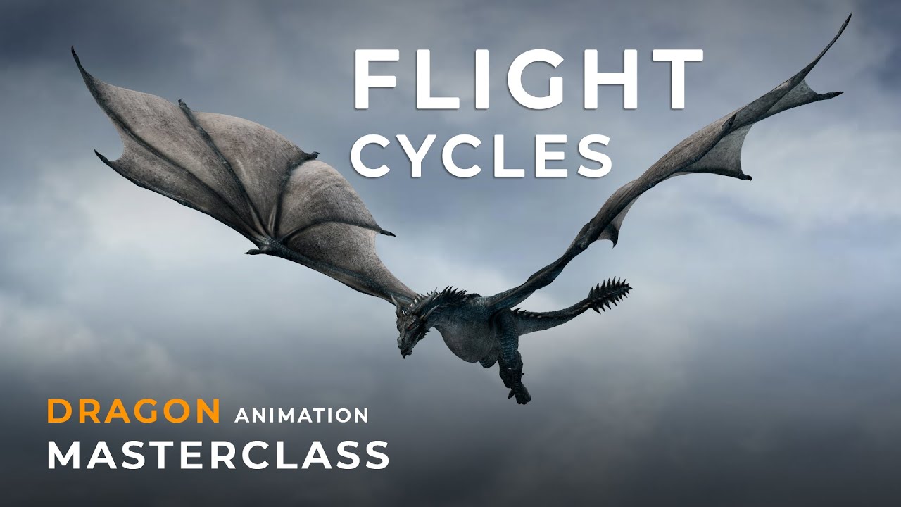 Dragon Flight Cycles