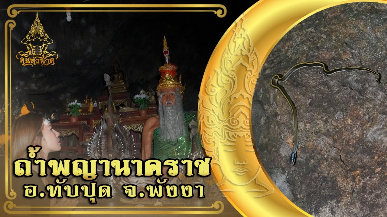 ตามรอยพญานาค ถ้ำพญานาคราช อำเภอทับปุด จังหวัดพังงา   | คน-หัว-นาค |ພະຍານາກ