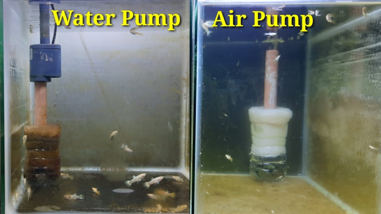 Super Easy $1 DIY Dual Purpose Filter for Small Fish Tank(2gals below) For Airpump and Water pump