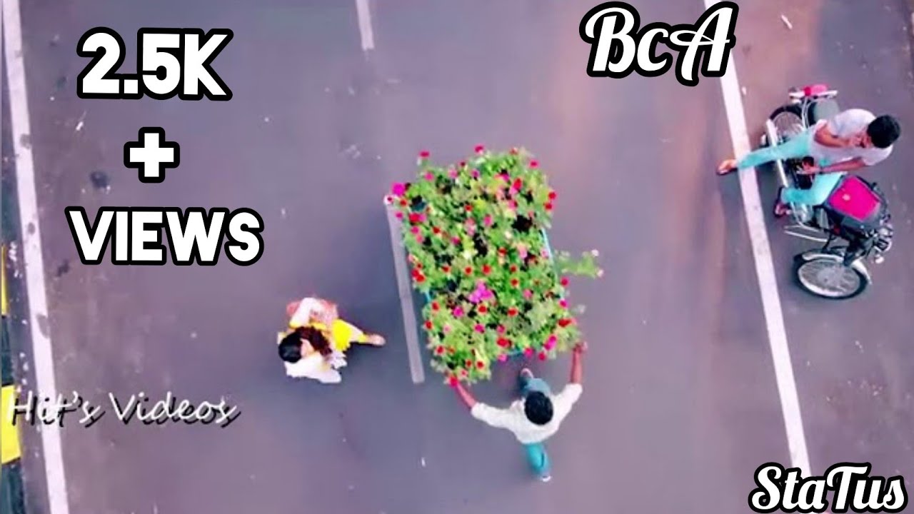 #new WhatsApp status bca