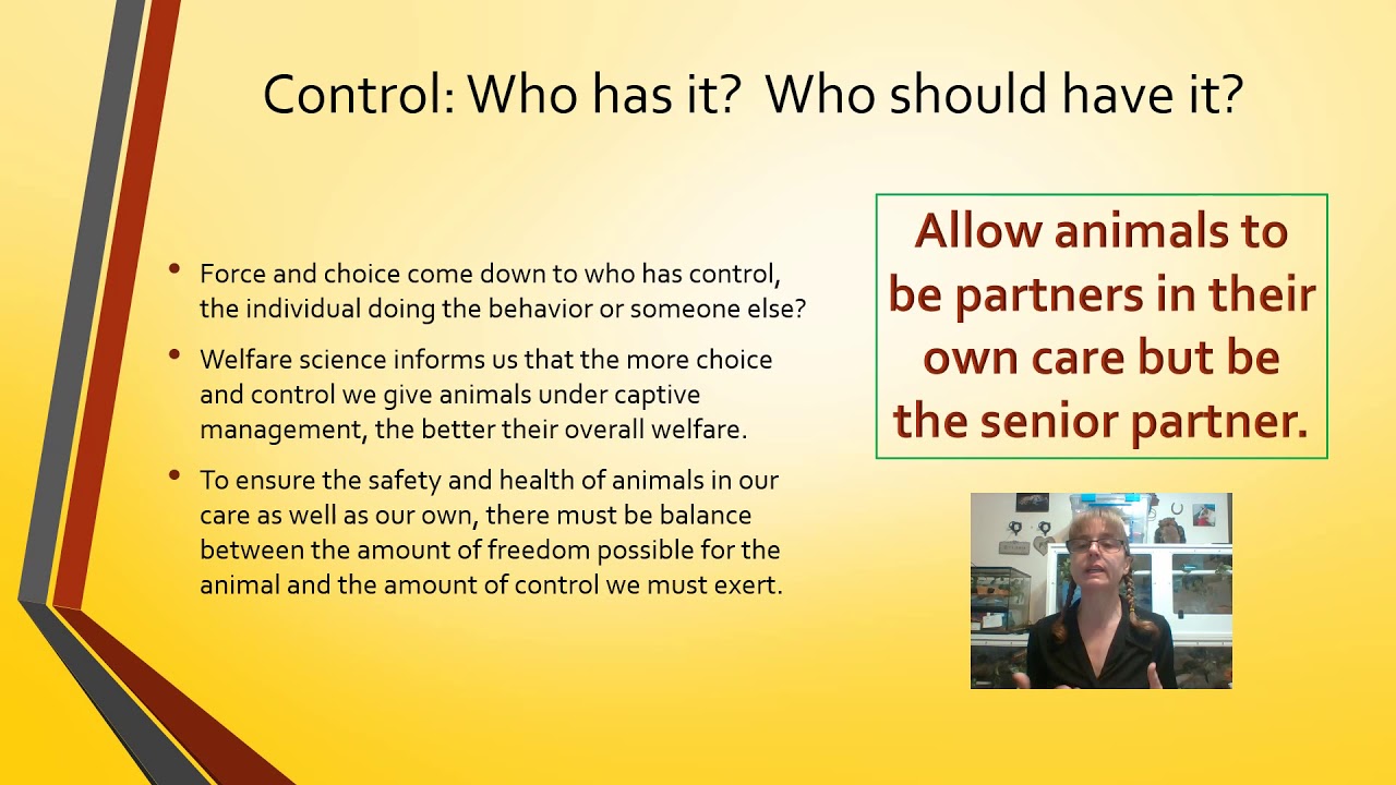 Force-based vs. Choice-based Keeping
