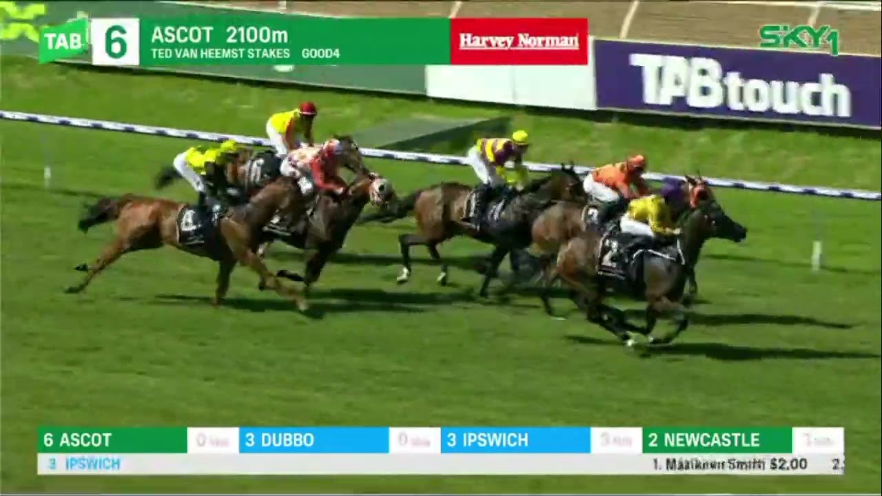 NUMERIAN - Ted Van Heemst Stakes 2023(3YO+ G2) Group 2 Ascot 23 December