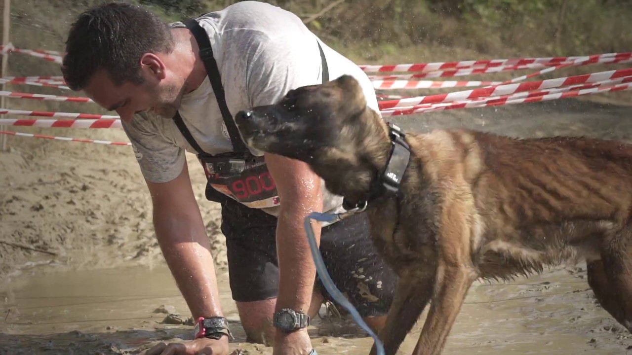 Hard Dog Race po polsku, Official Video