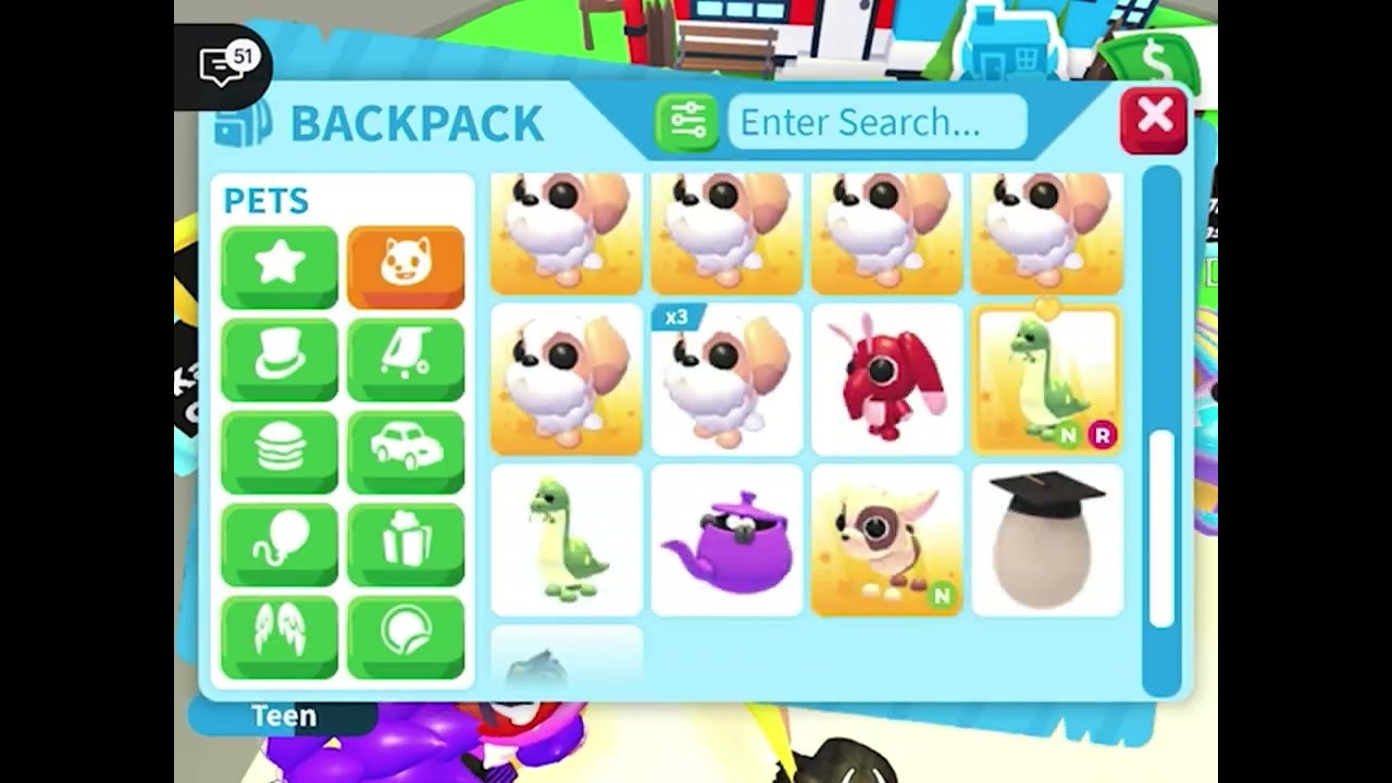 What offers do I get for my turtle
