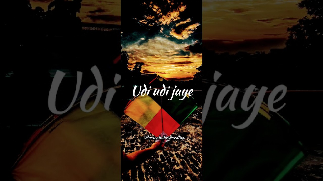 udi udi jaye status | Raees| Maka Sankranti Status |SRK songs 