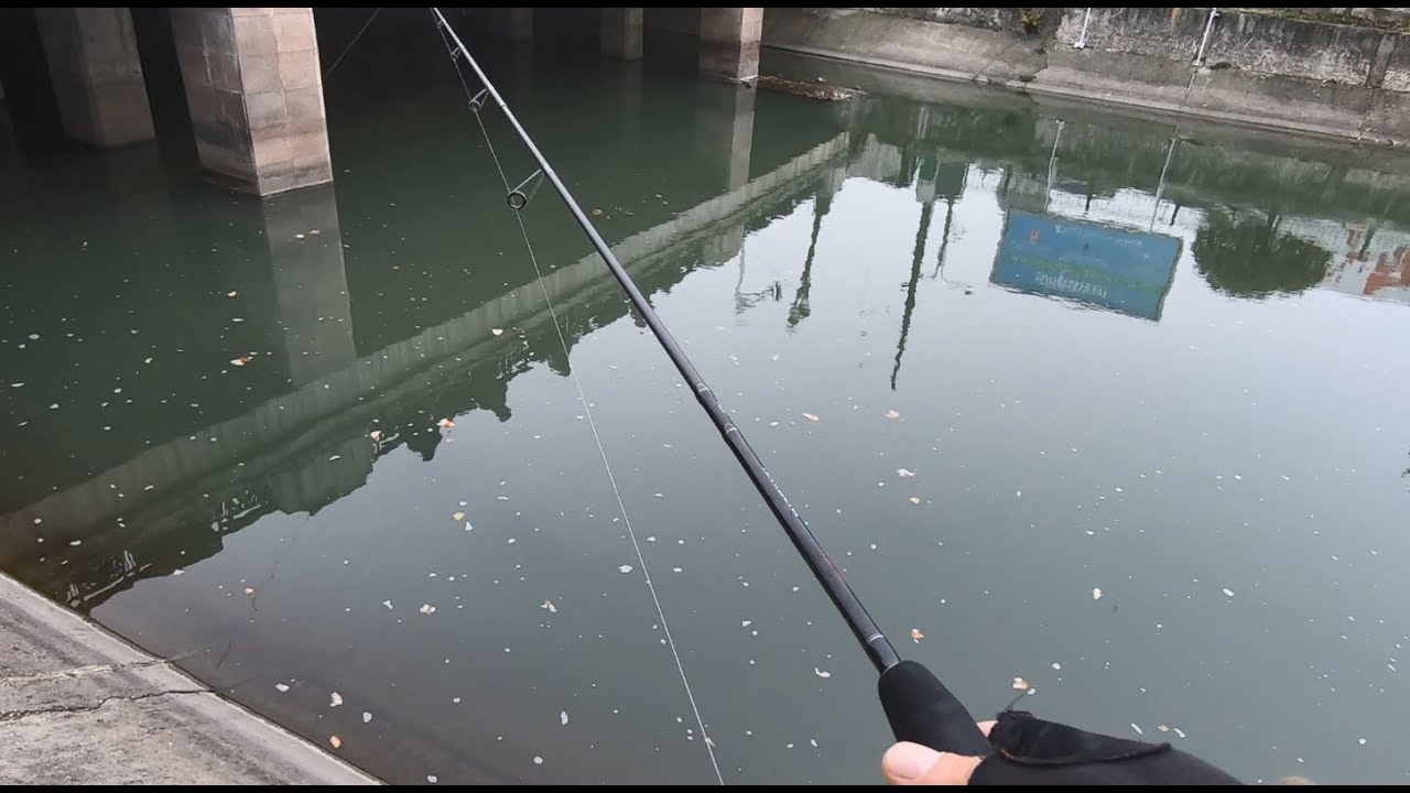 Street fishing in Bucharest