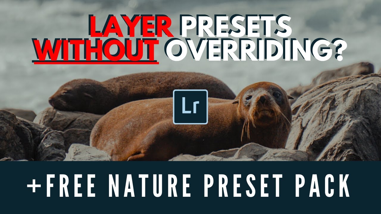 Lightroom Preset Tutorial Free Download | Preset Layering System