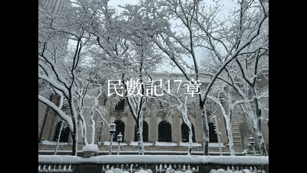 聖經朗讀 #第10週 #星期五 (#詩篇59+ #路加福音6+ #民數記17-18 )