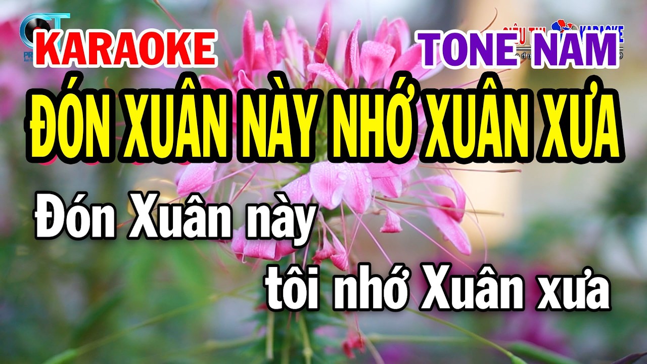 Karaoke Đón Xuân Này Nhớ Xuân Xưa Tone Nam ( Fm ) Nhạc Xuân Dễ Hát Nhất | Siêu Thị