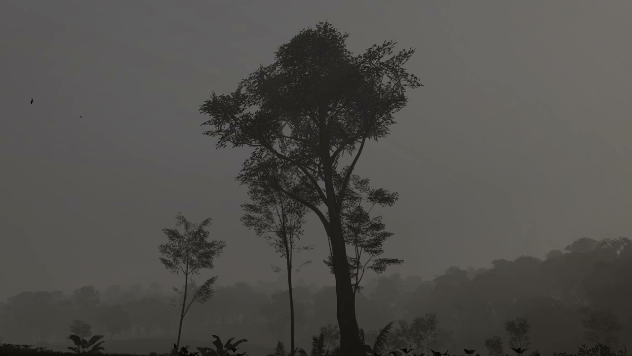 belac ~ In Your Head (slowed & reverb)
