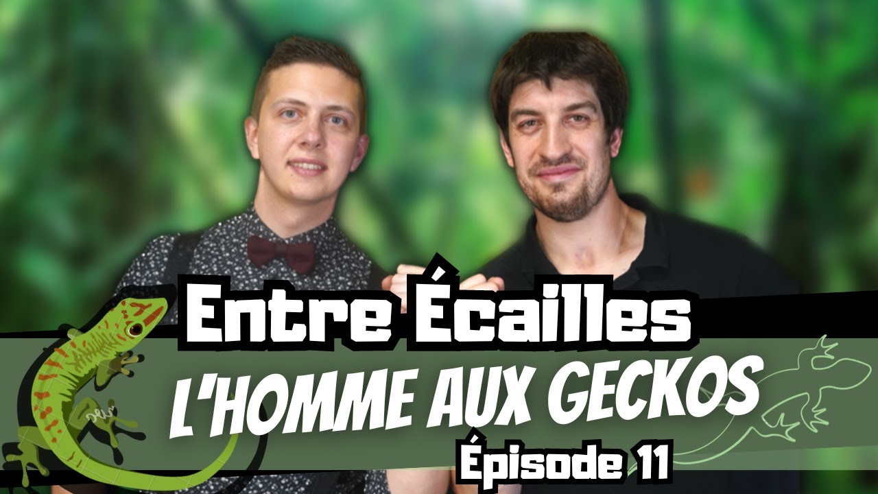 L'HOMME AUX GECKOS (Avec Le9 Reptiles) [Entre Écailles - Ep 11]