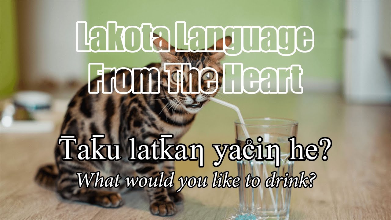 Lakota Language: I Am Thirsty! #lakota #language #communication #thirsty #drink #peace #love