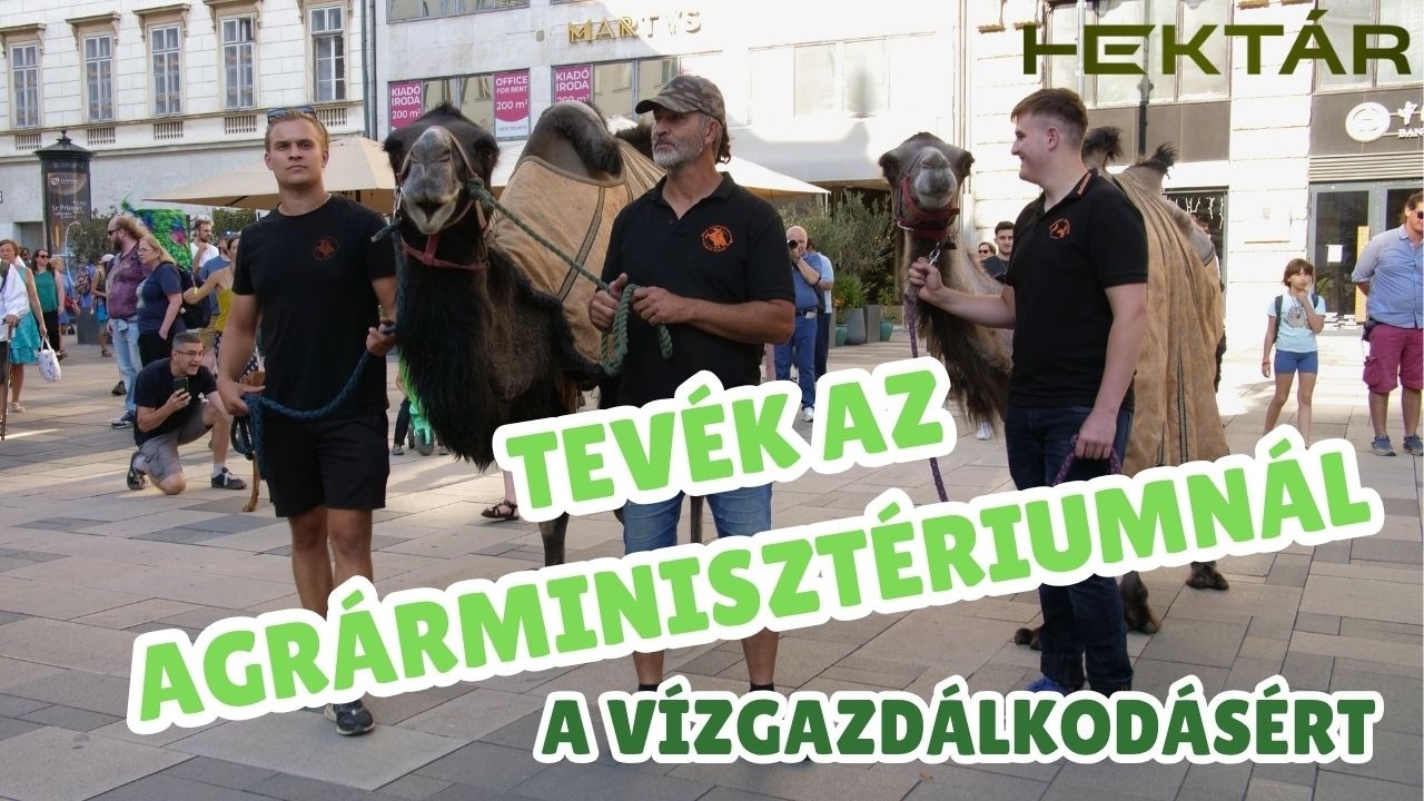 Ne váljon sivataggá a Kárpát-medence, ezért tevékkel vonultak az Agrárminisztérium elé