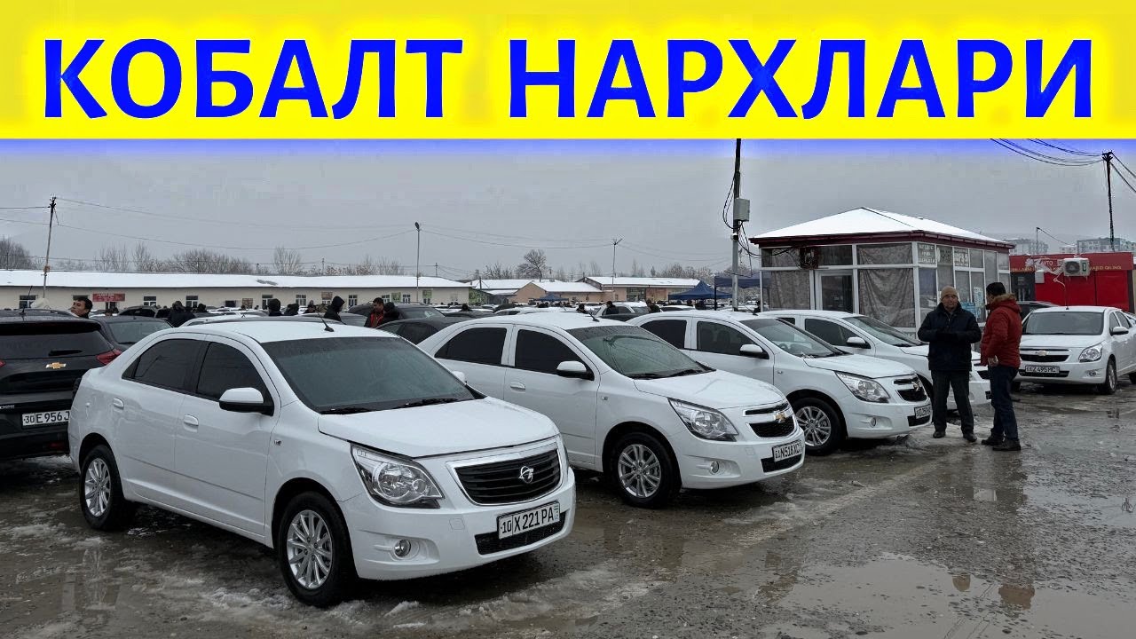 COBALT NARXLARI 2025 КОБАЛЬТ НАРХЛАРИ 2025.SAMARQAND MOSHINA BOZORI 2025 САМАРКАНД МОШИН БОЗОР 2025