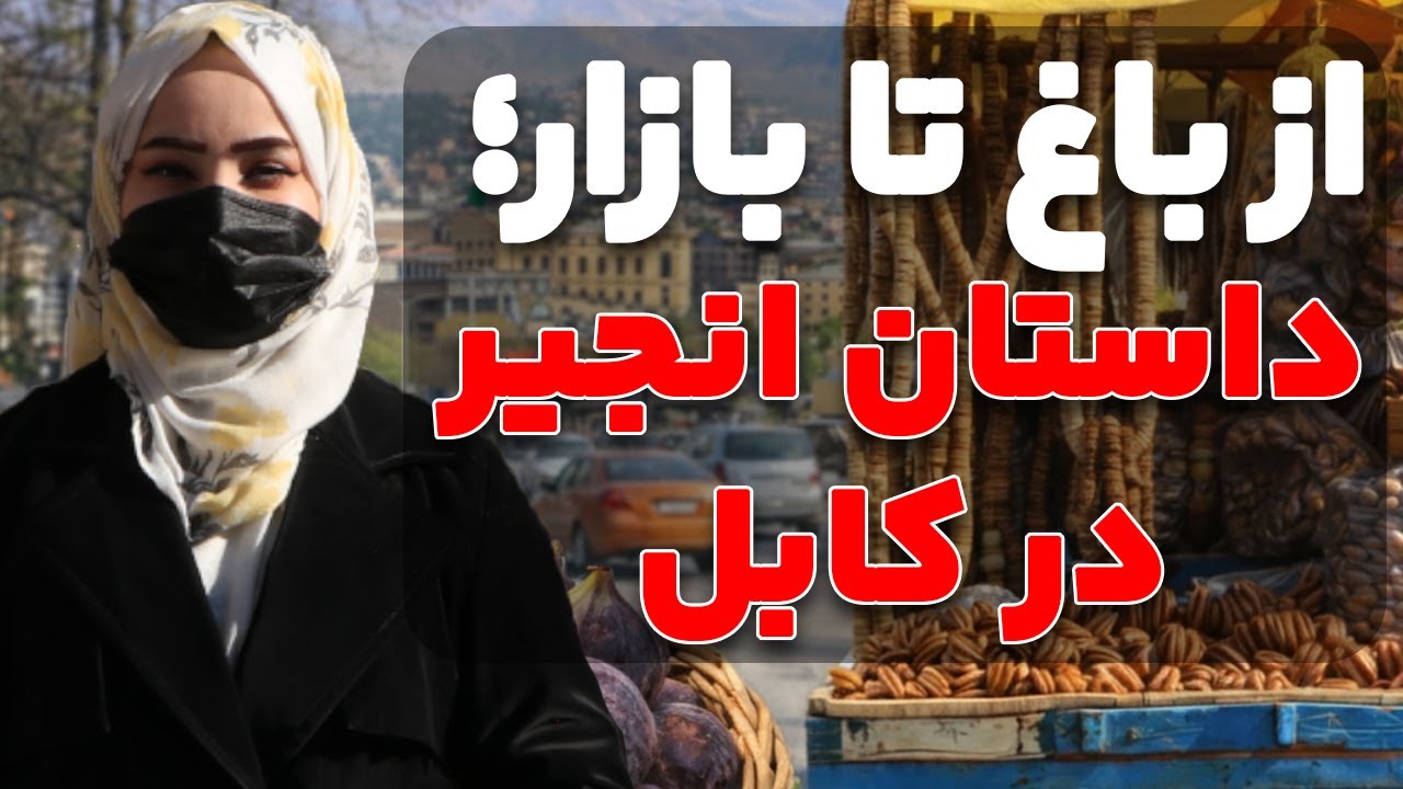 گزارش ویژه از انجیر فروشی در کابل !