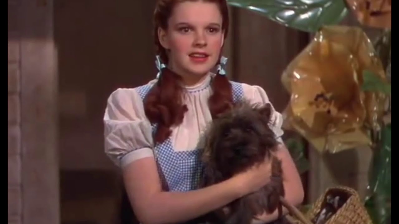 Aesthetic Significance- Wizard of Oz