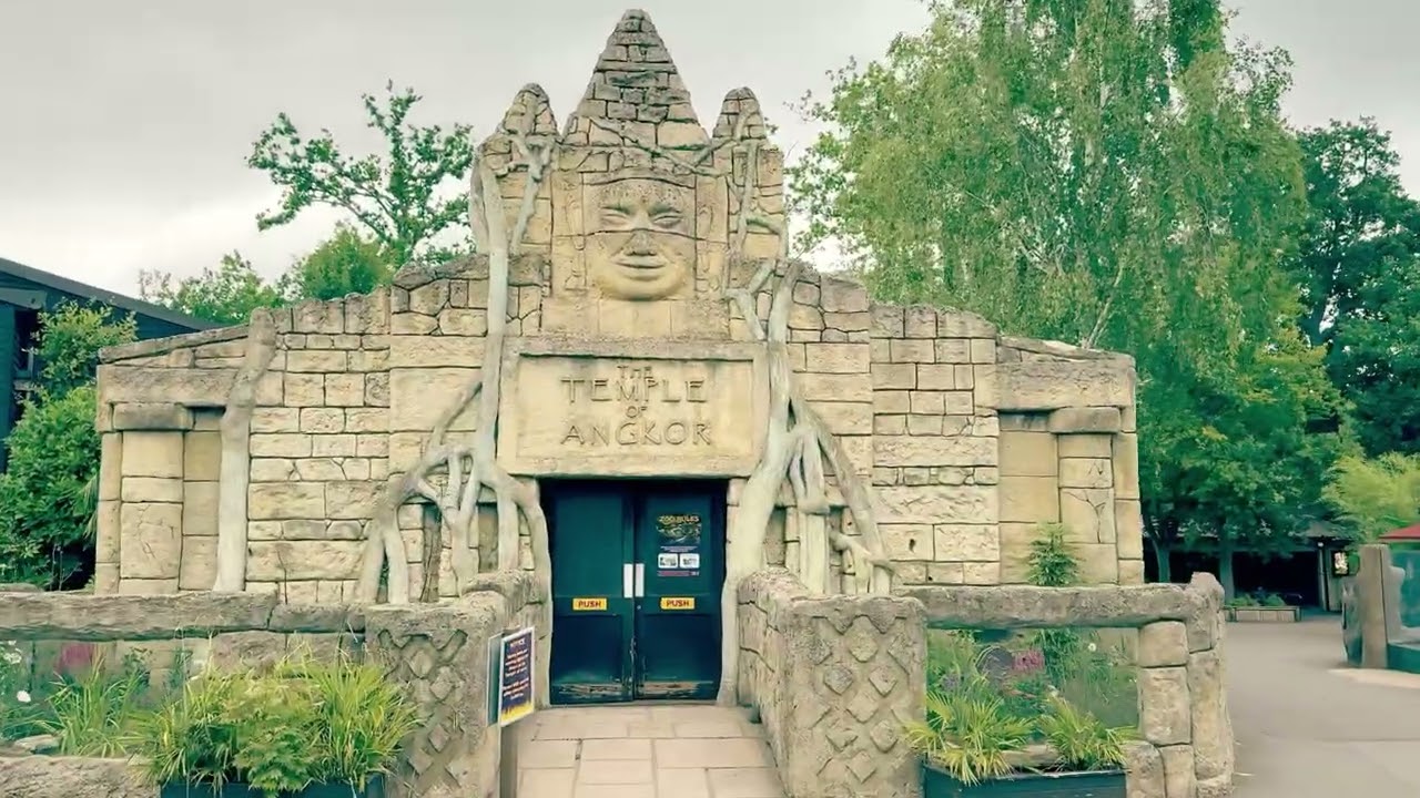 Meet the Animals! 🐾 Hertfordshire Zoo Adventure🦒