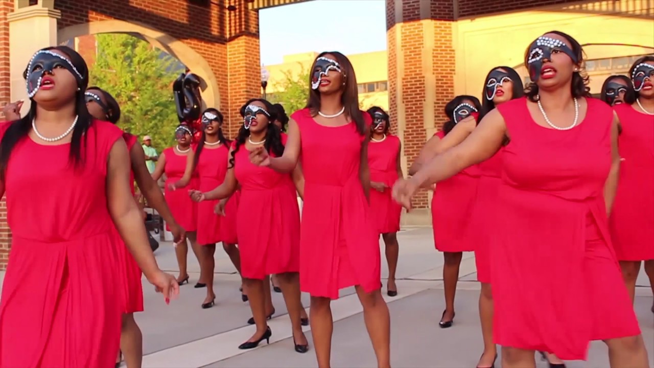 Delta Sigma Theta Sorority Inc. Theta Rho Spring 17 NIP