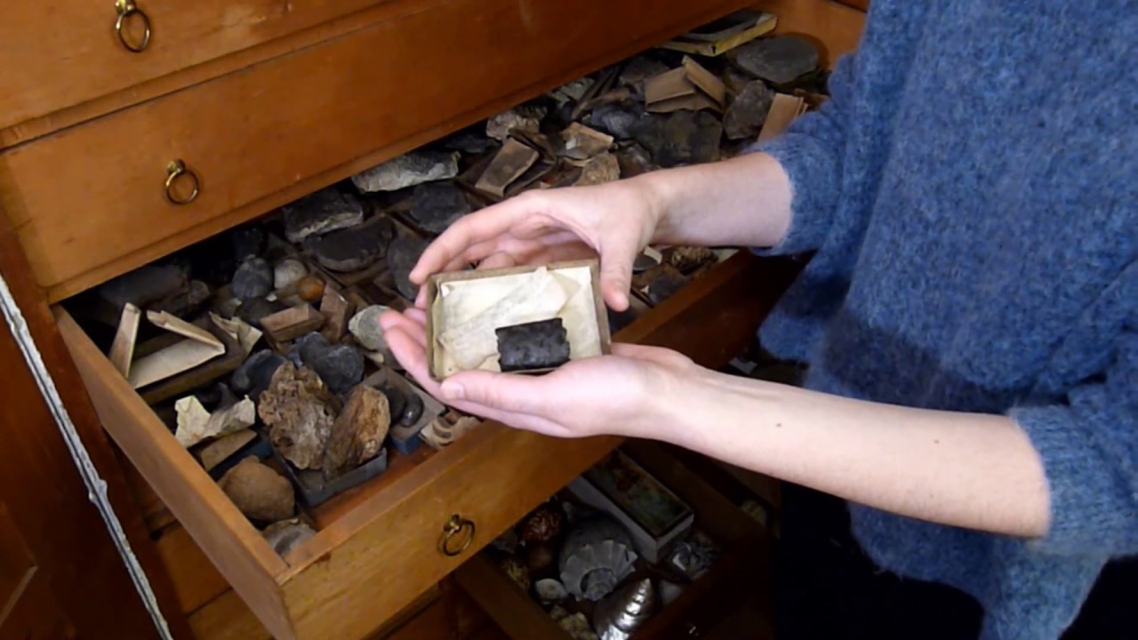 Wunderkammer Tour