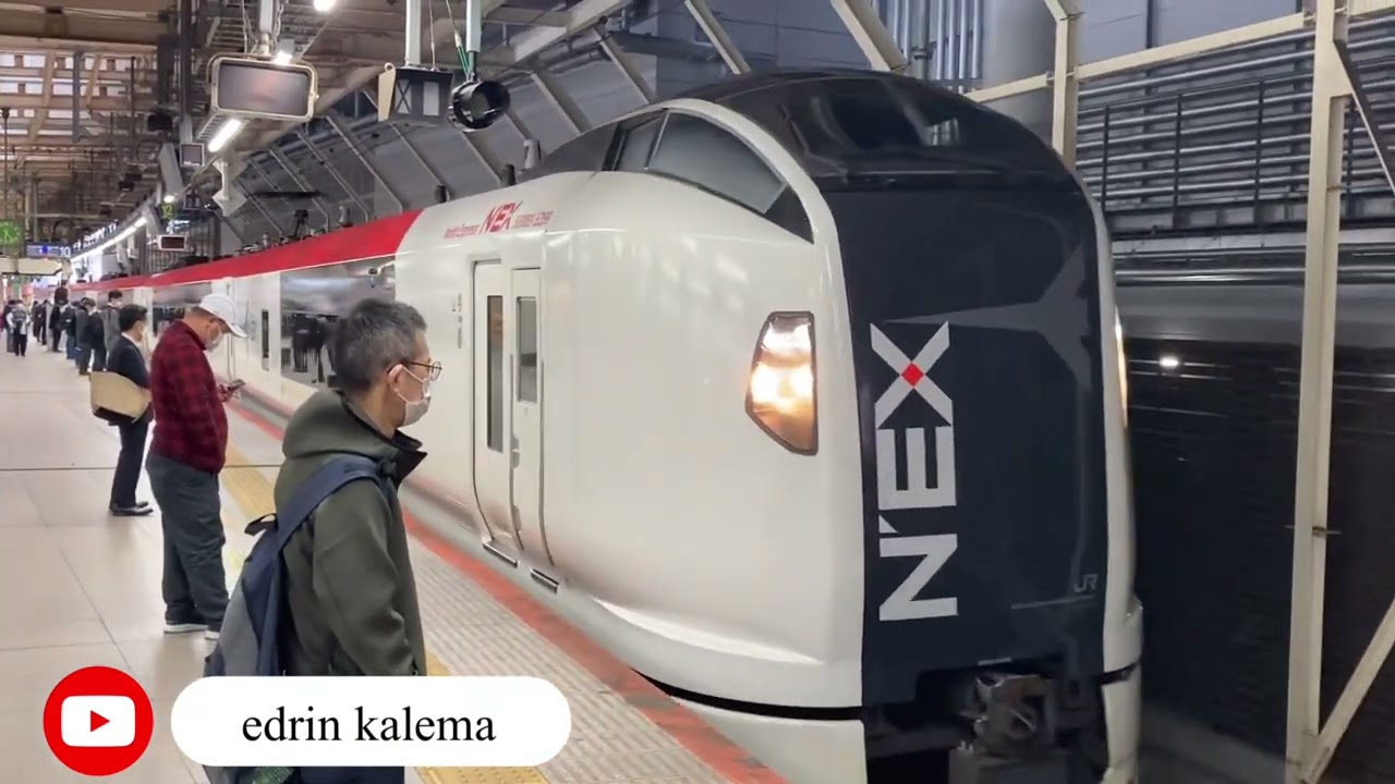 Best Airport Train - Narita Express N&rsquo;EX Train from Tokyo Narita Airport to Yokohama 🇯🇵🇺🇬edrin k