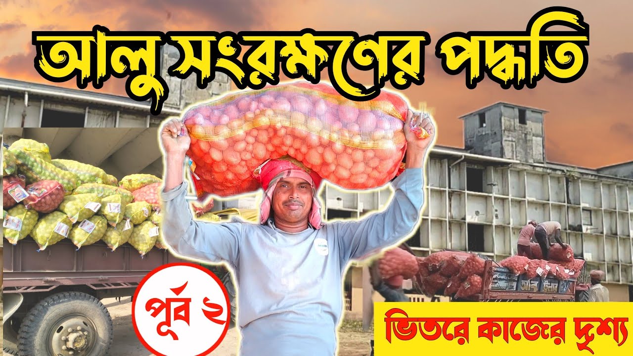 আলু সংরক্ষণের পদ্ধতি পর্ব ২ । ভিতরের কাজের দৃশ্য