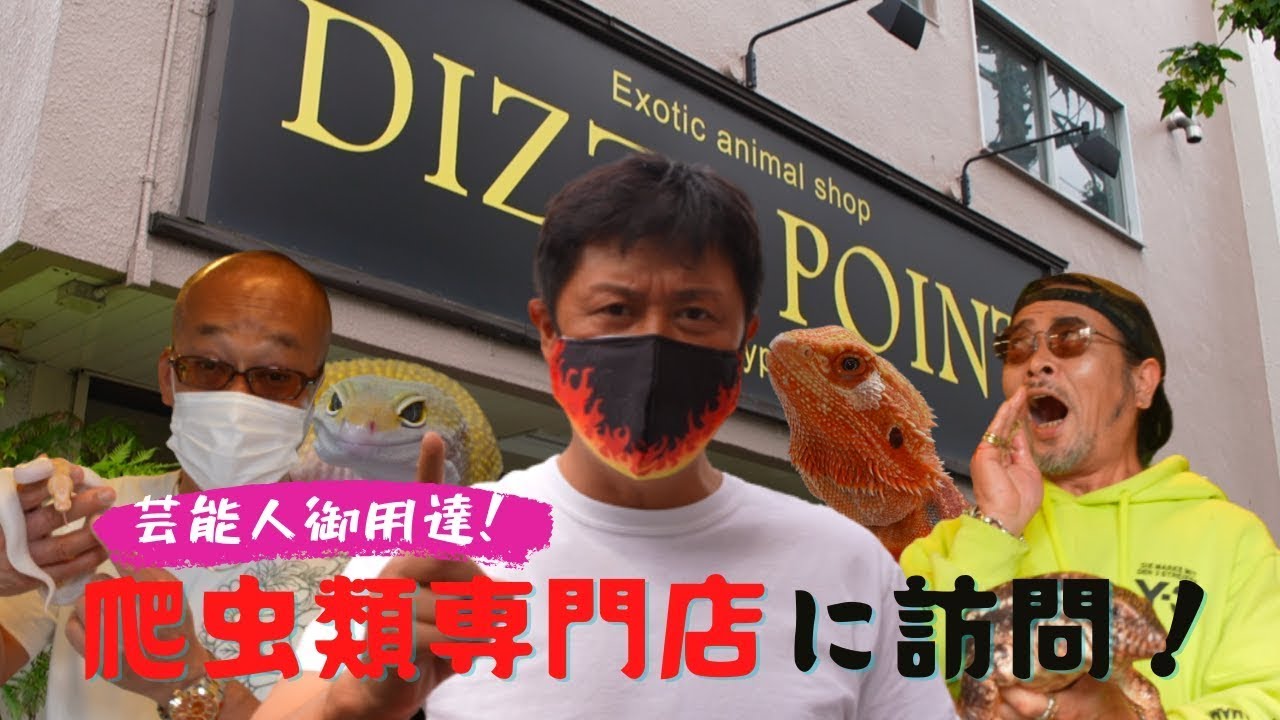 【都内最強!?】Dizzy Point Tokyoを巡る！【クセペットショップ】