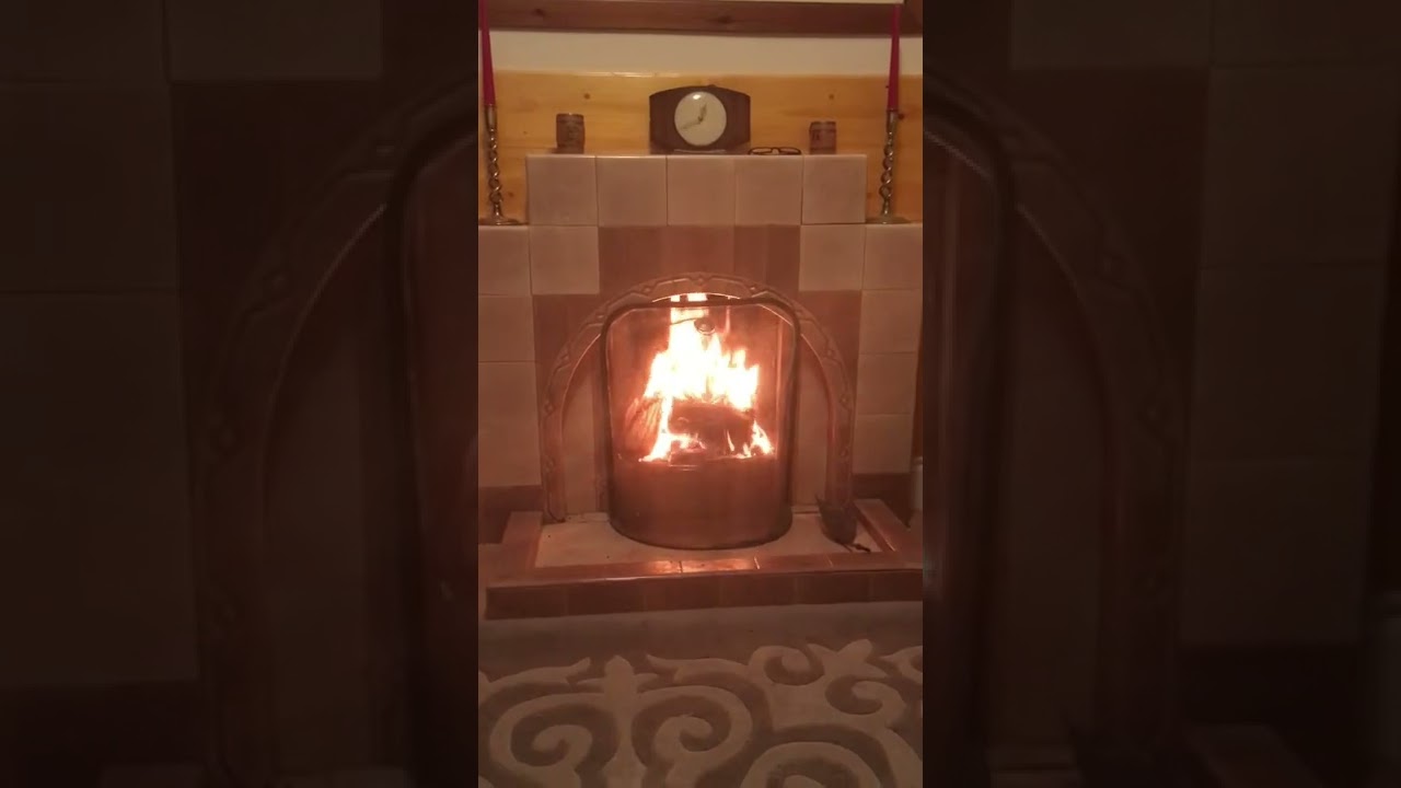 A bright coal fire on a dull cold day. #shorts, #realfire, #coal