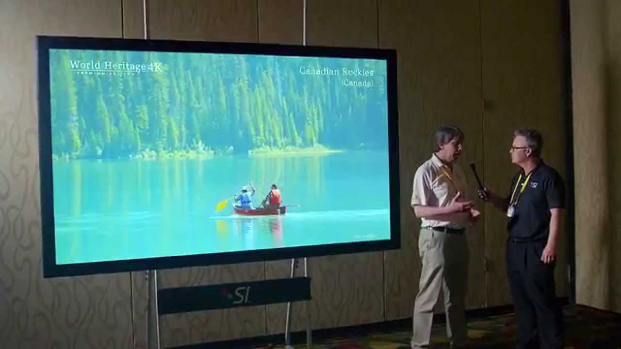 Sony VPL-VW350ES 4k Projector