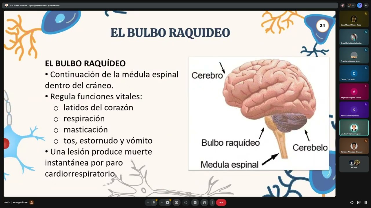 CLASE DE BIOLOGIA: TEMA 7 PARTE 2  13/02/2026