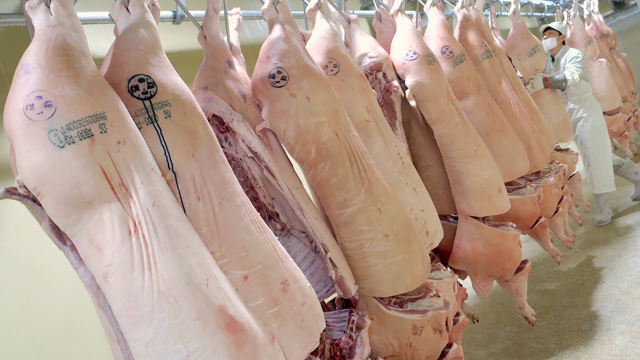 Процесс обвалки мастера разбирают целыми свиньями. Удивительный корейский мясоперерабатывающий завод
