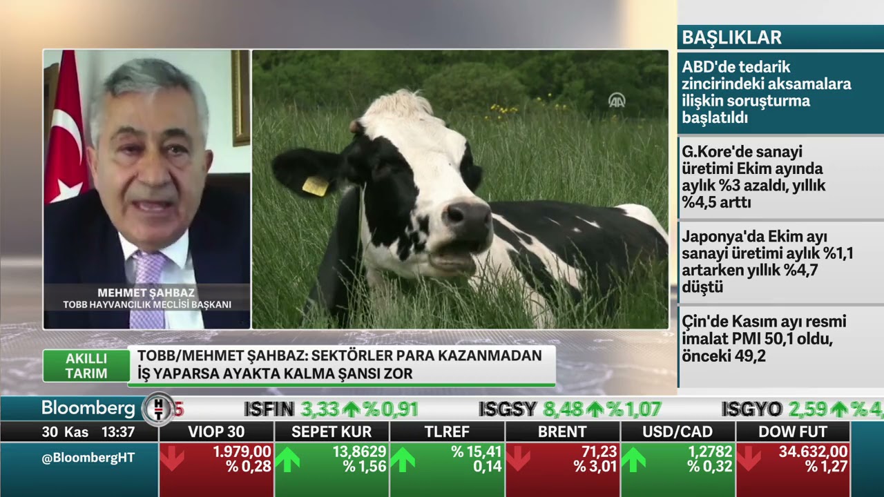Besicilik sektörü neden zorda?