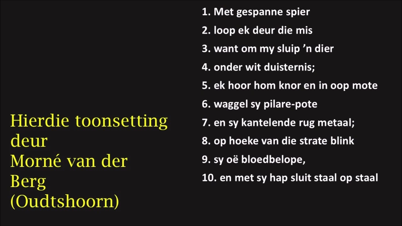 STAD IN DIE MIS DJ OPPERMAN getoonset