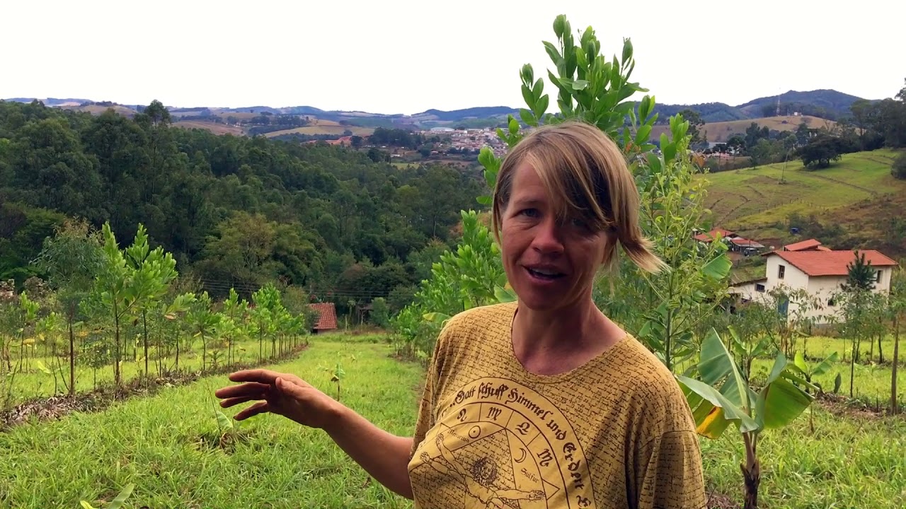 Successionnal Agroforestry at Epicentro Dalva - Karin, Brazil