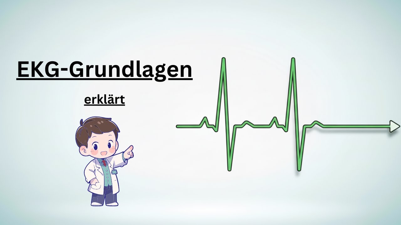 EKG einfach erklärt: Grundlagen, Ableitung & Wellen verständlich