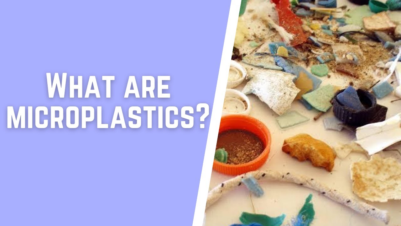 020: What are Microplastics?