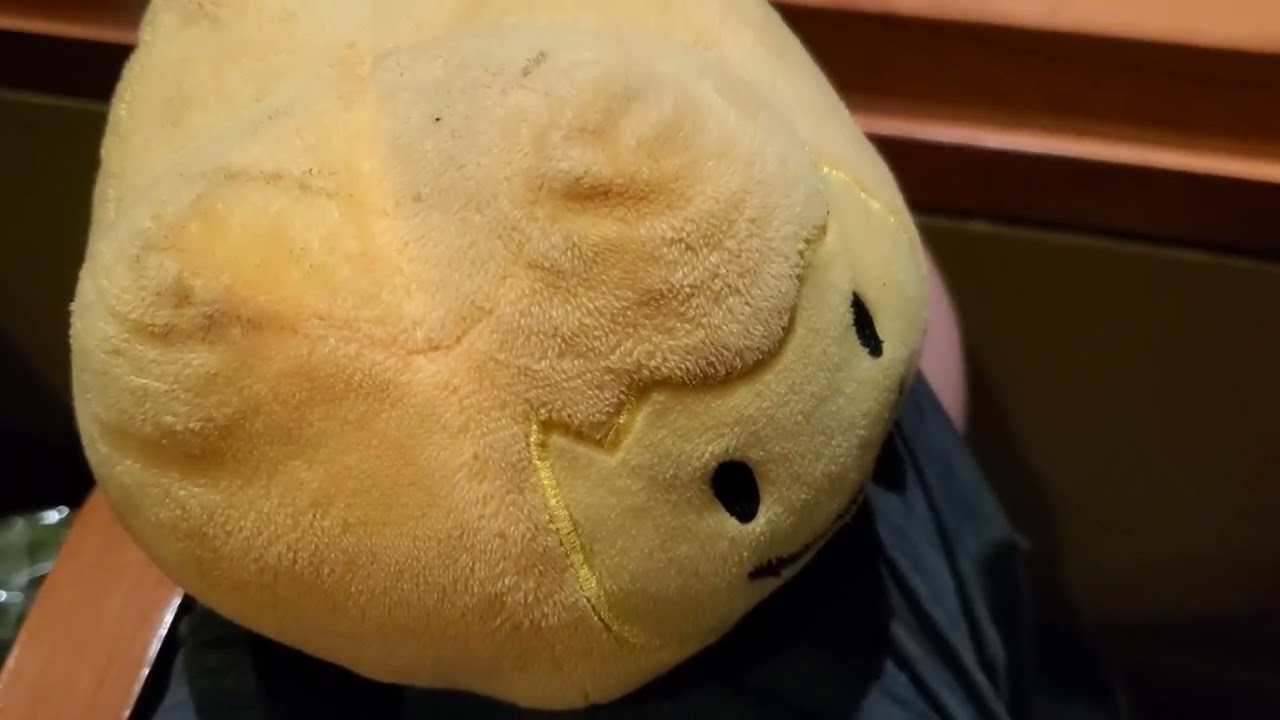Bfdi plush: Firey Jr Goes to the bfdi and ii 2024 tour